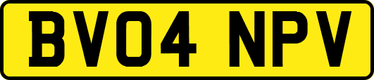 BV04NPV