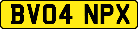 BV04NPX