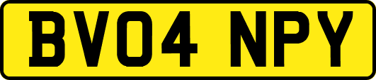 BV04NPY
