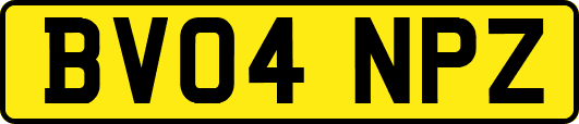 BV04NPZ