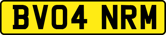 BV04NRM