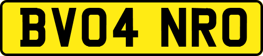 BV04NRO