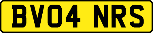 BV04NRS