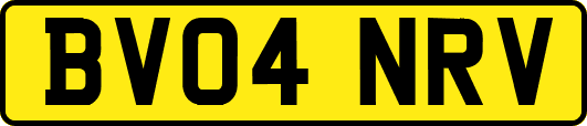 BV04NRV
