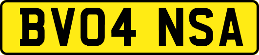 BV04NSA