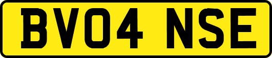 BV04NSE