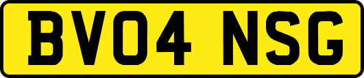 BV04NSG