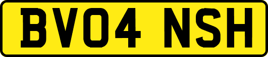 BV04NSH