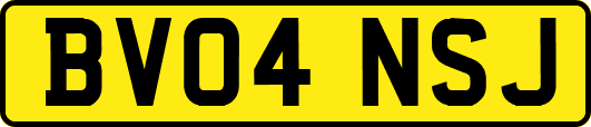 BV04NSJ