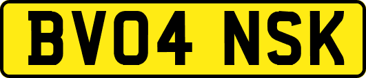 BV04NSK