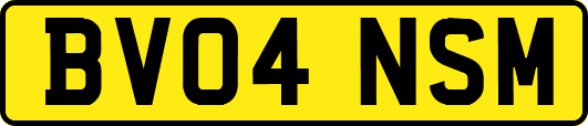 BV04NSM