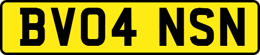 BV04NSN