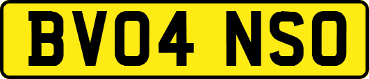 BV04NSO