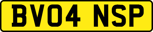 BV04NSP