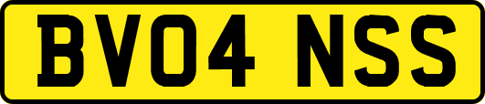 BV04NSS