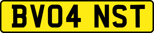BV04NST