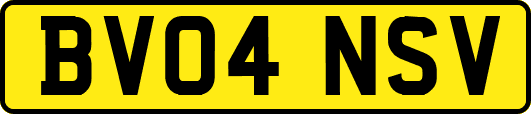 BV04NSV