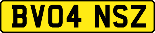 BV04NSZ