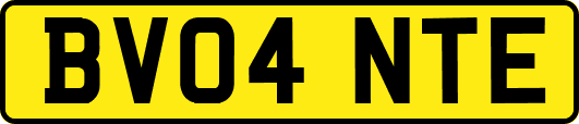 BV04NTE