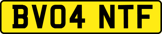 BV04NTF