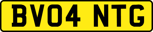BV04NTG