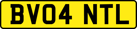 BV04NTL