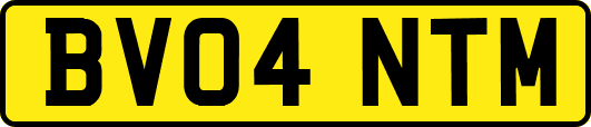 BV04NTM