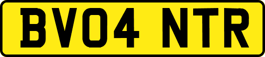 BV04NTR