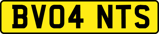 BV04NTS