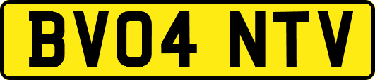 BV04NTV