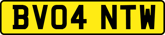 BV04NTW