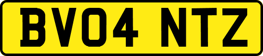 BV04NTZ