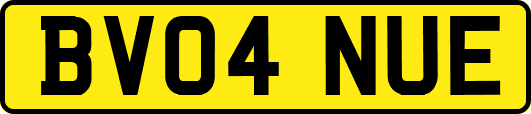 BV04NUE