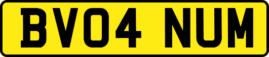 BV04NUM