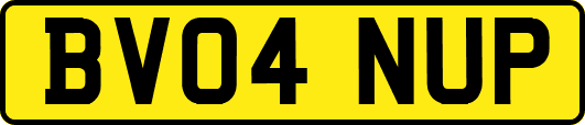 BV04NUP