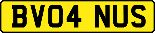 BV04NUS