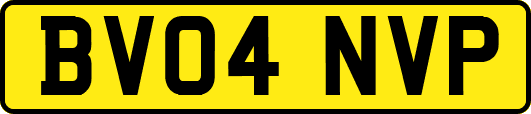 BV04NVP