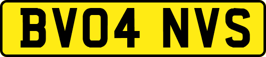 BV04NVS
