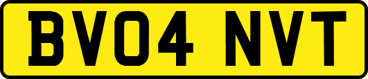 BV04NVT