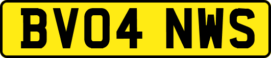 BV04NWS