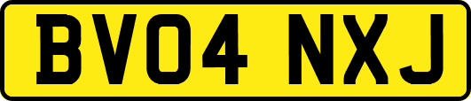 BV04NXJ