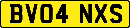 BV04NXS