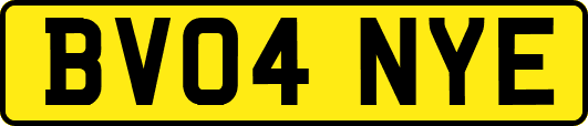 BV04NYE