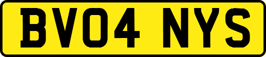 BV04NYS