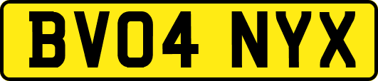 BV04NYX