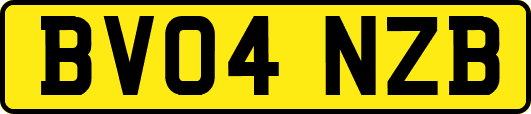 BV04NZB