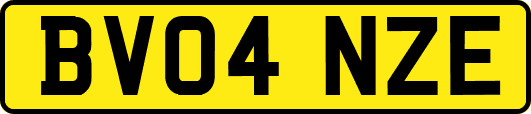 BV04NZE