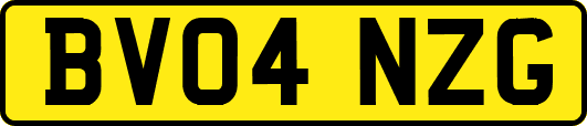 BV04NZG
