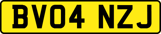 BV04NZJ