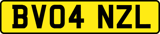 BV04NZL